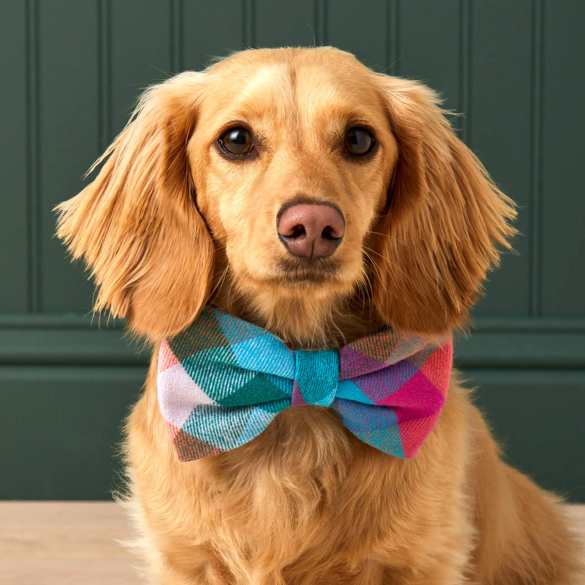 Color Pop Plaid Flannel Dog Bow Tie