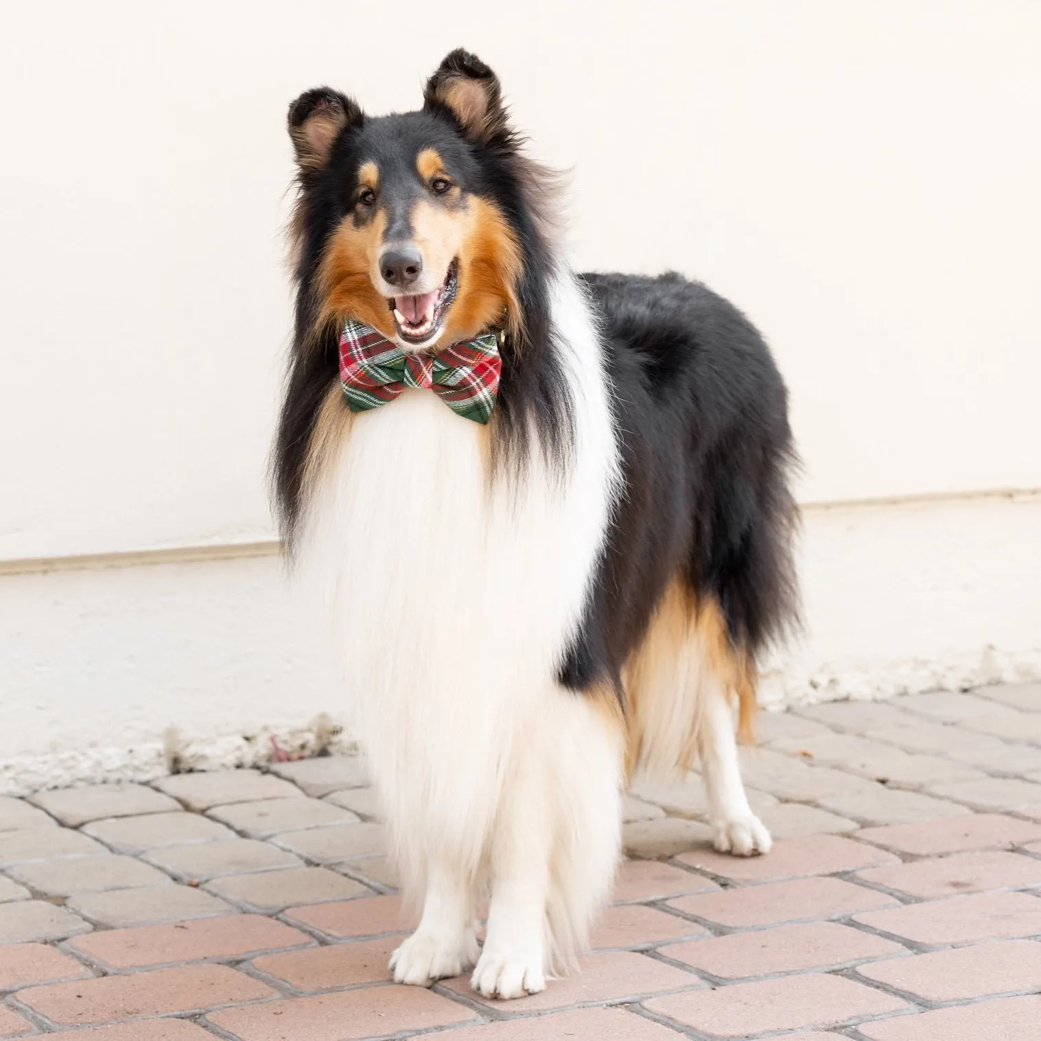 Holly Jolly Plaid Flannel Dog Bow Tie