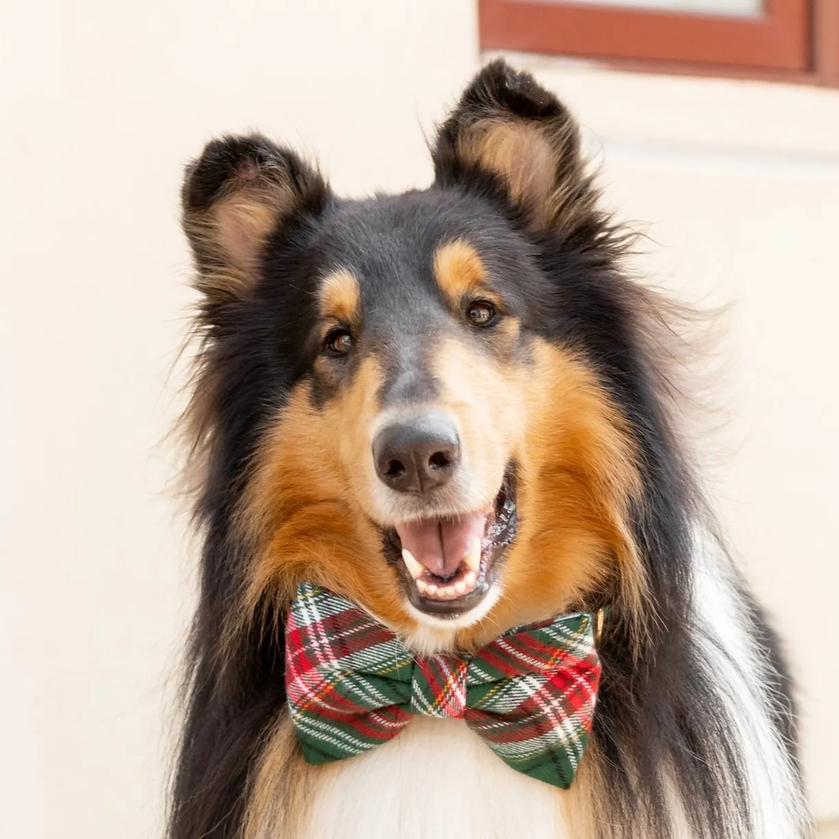 Holly Jolly Plaid Flannel Dog Bow Tie