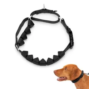 PetSafe® Soft Point Training Collar