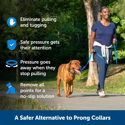 PetSafe® Soft Point Training Collar