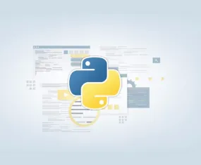 Python Web Programming