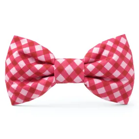 Raspberry Gingham Dog Bow Tie